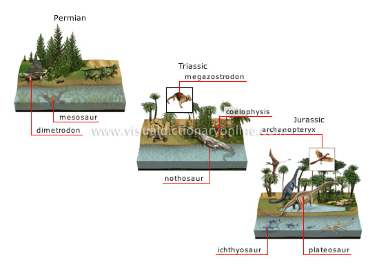 origin and evolution of species [3]