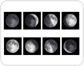 phases of the Moon