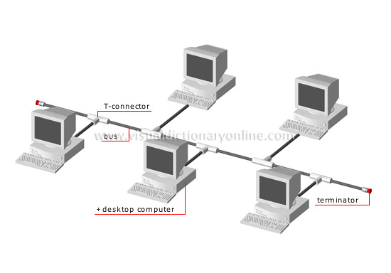 bus network