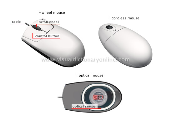 input devices [4]