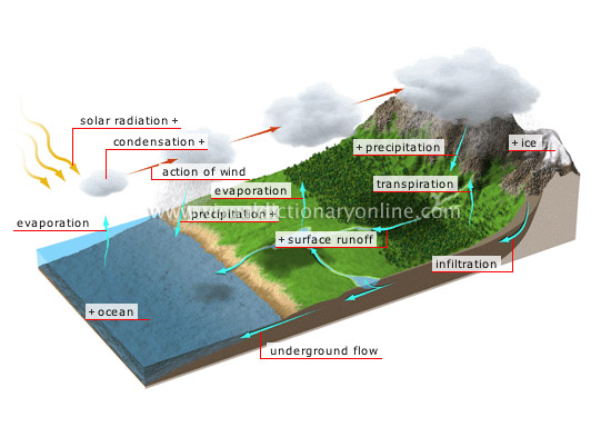 hydrologic cycle