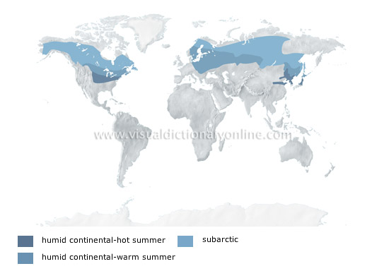 cold temperate climates