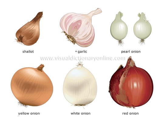 bulb vegetables [2]