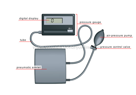 blood pressure monitor