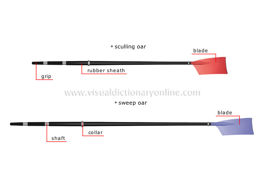 types of oars