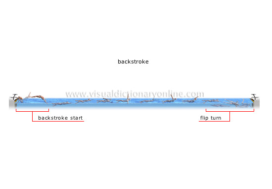 types of strokes [1]