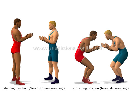 starting positions