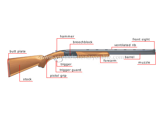 shotgun (smooth-bore)