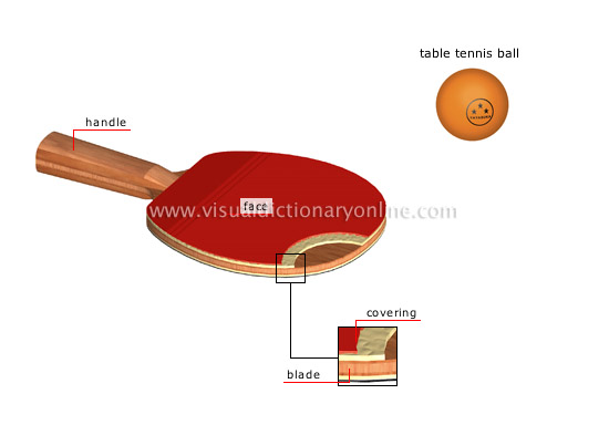 table tennis paddle