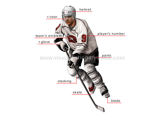 ice hockey player [1]